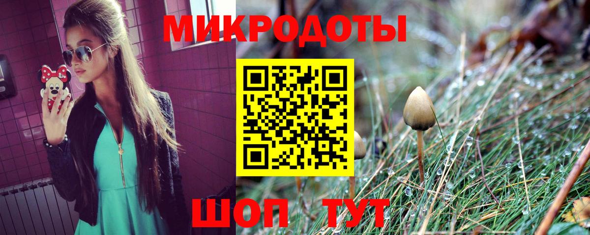 Псилоцибиновые грибы Psilocybine cubensis Тверь