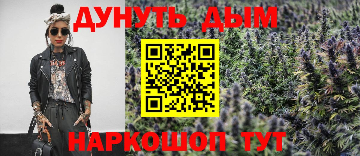 Каннабис планчик Тверь
